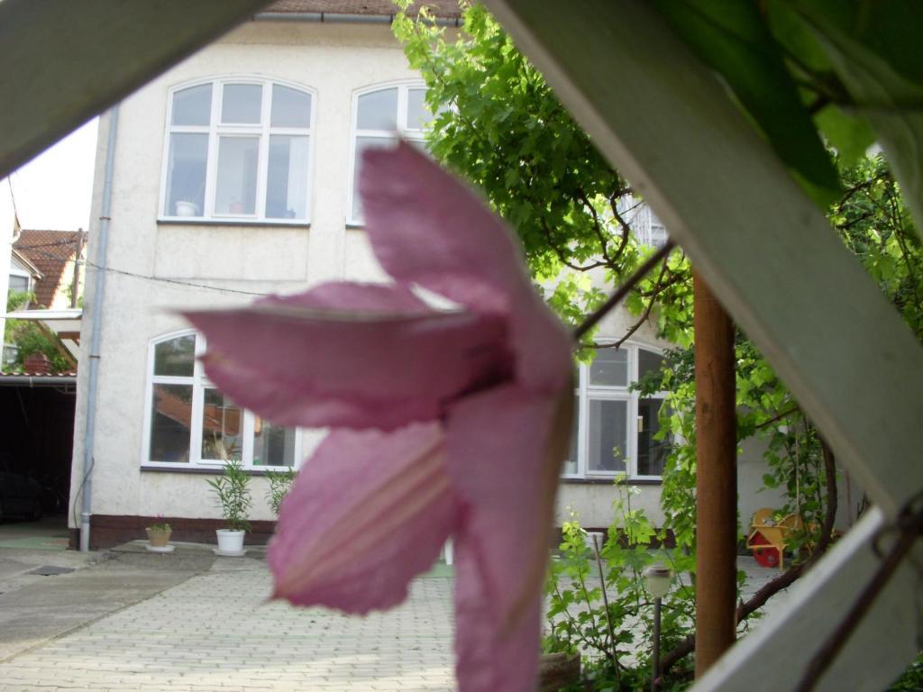 Garden Szivarvany Utcai Vendeghaz Segedin Dış mekan fotoğraf